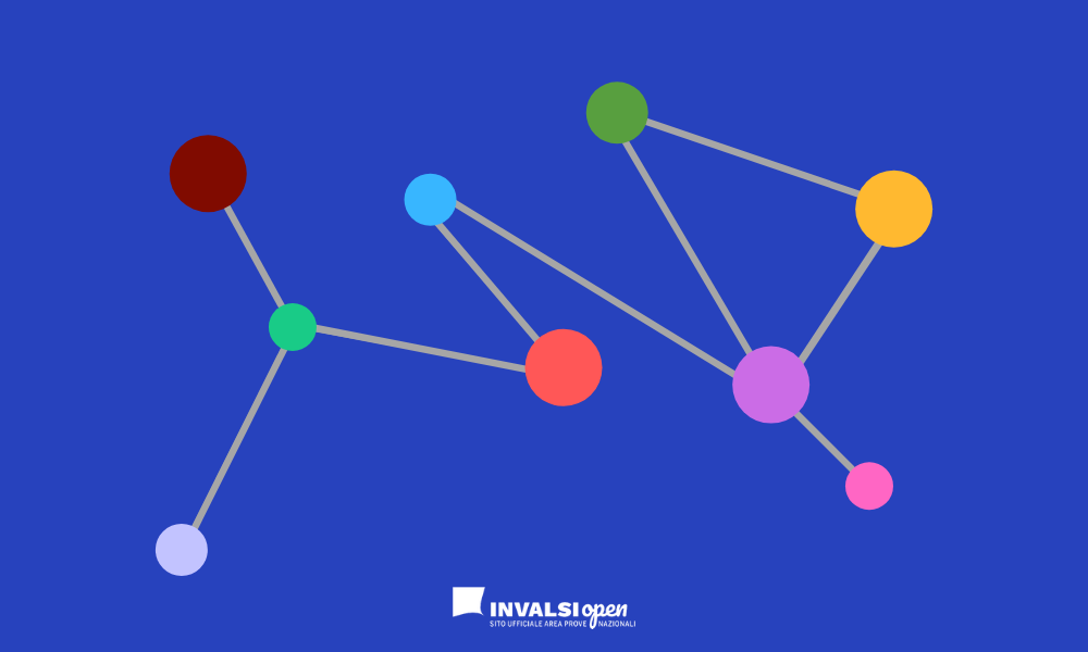 Grafica che rappresenta le competenze